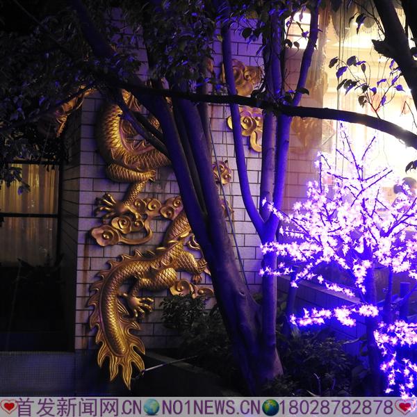 DSCN9515.JPG