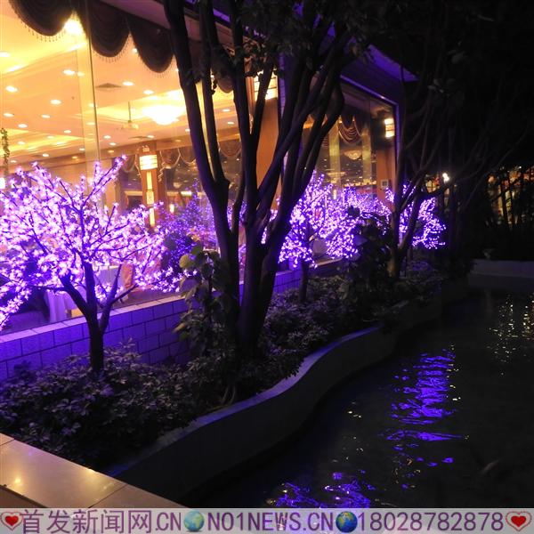 DSCN9518.JPG