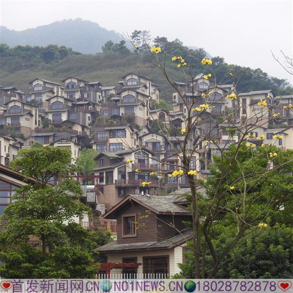DSCN3325.JPG
