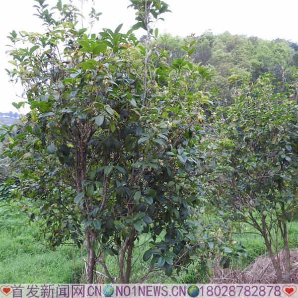 DSCN3351.JPG