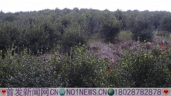 DSCN3357.JPG