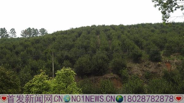 DSCN3364.JPG