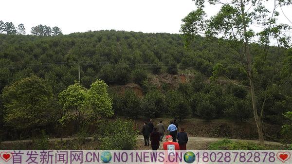 DSCN3369.JPG