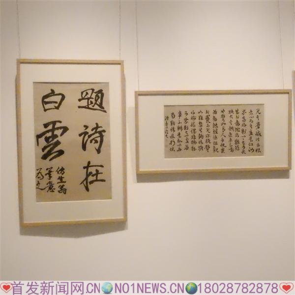 DSCN5810.JPG