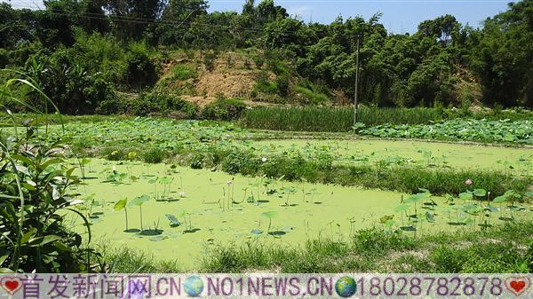 DSCN2371.JPG