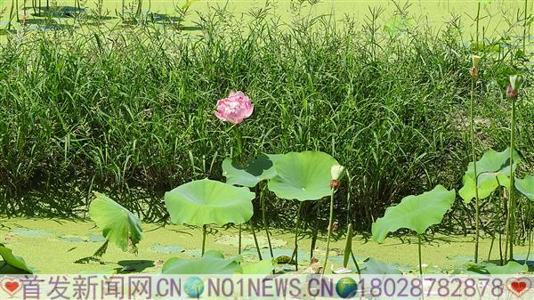 DSCN2373.JPG