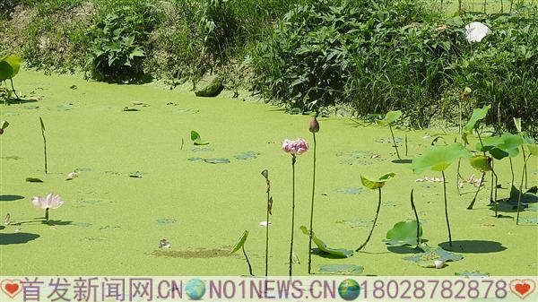 DSCN2372.JPG