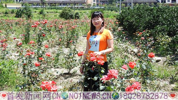DSCN2414.JPG