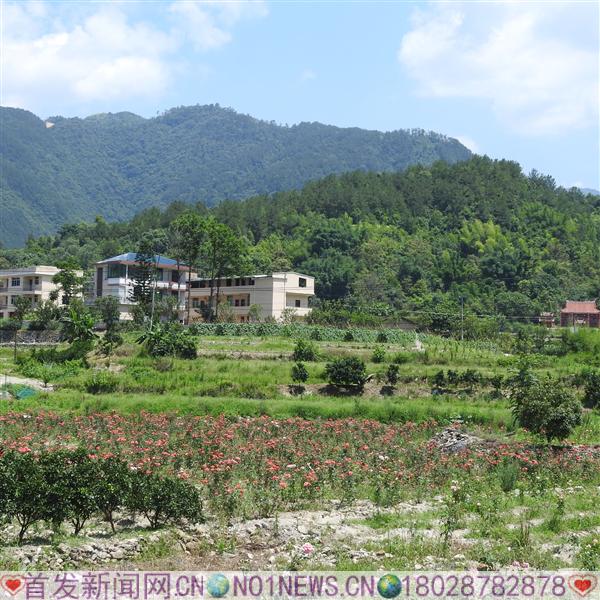 DSCN2420.JPG