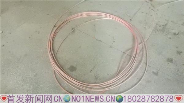 DSCN8196.JPG