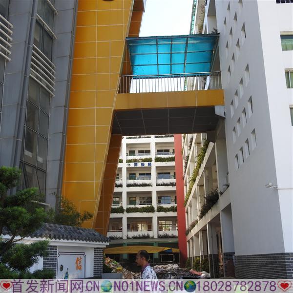 DSCN8379.JPG