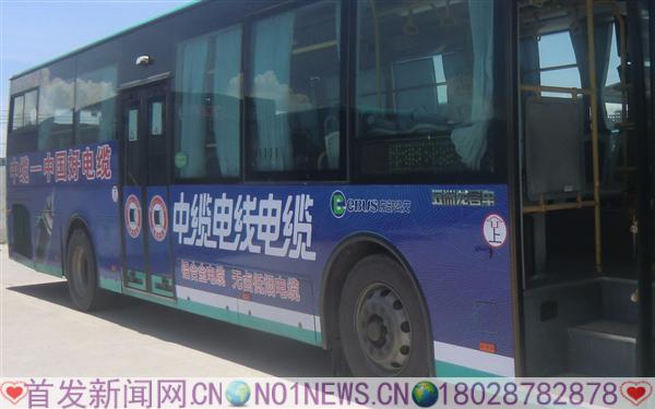 K8048.jpg
