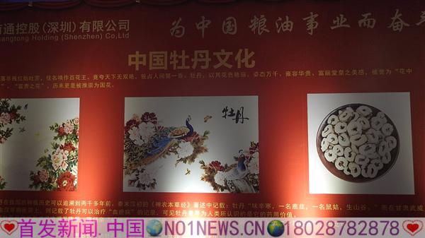 DSCN9849.JPG